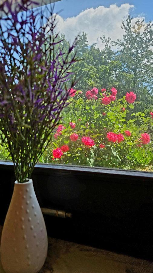Ferienwohnung Rodder Maar Niederzissen Extérieur photo